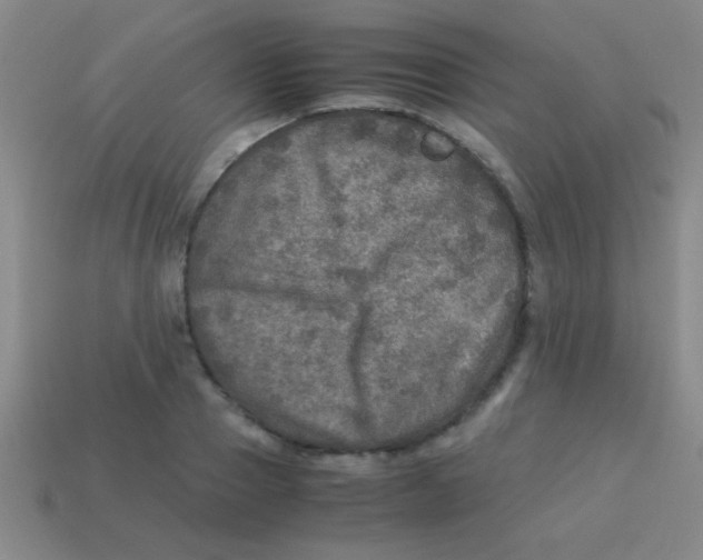 X0000113600937200910161902