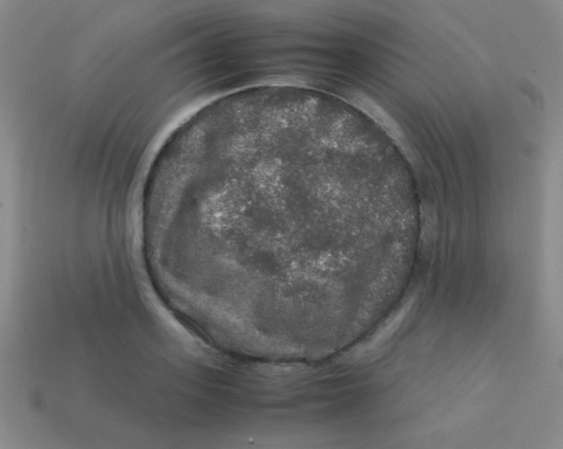 X0000113600939200910161902