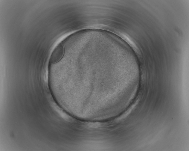 X0000113600940200910161902