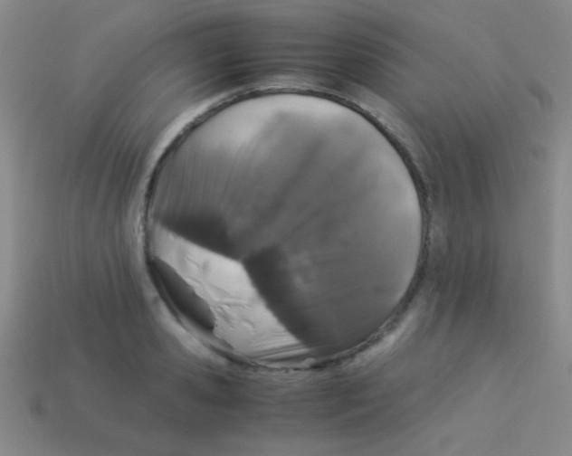 X0000113600941200910161902