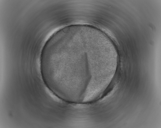 X0000113600942200910161902