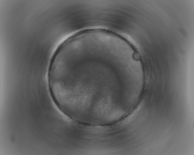 X0000113600943200910161902