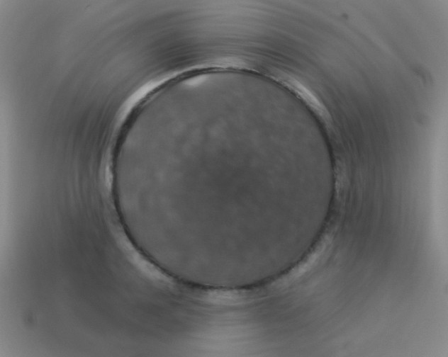 X0000113600944200910161902