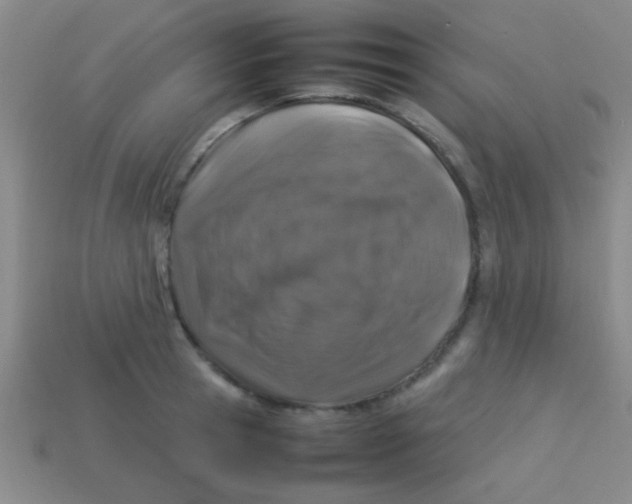 X0000113600945200910161902