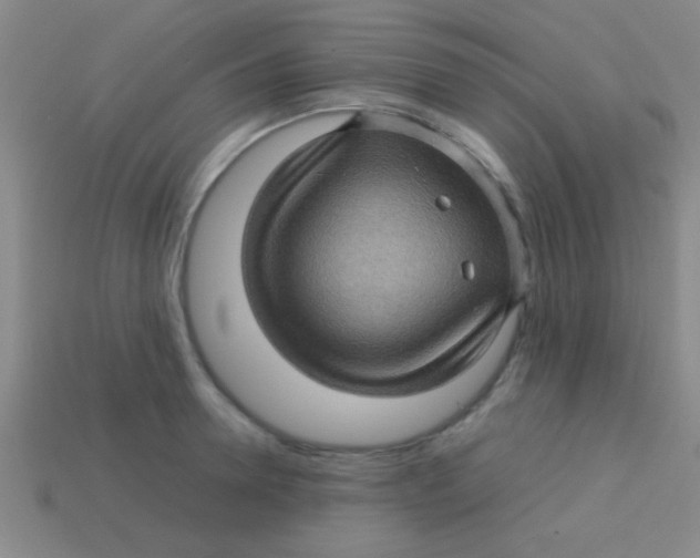 X0000113600946200910161902