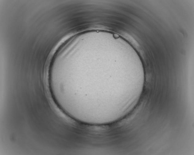 X0000113600947200910161902