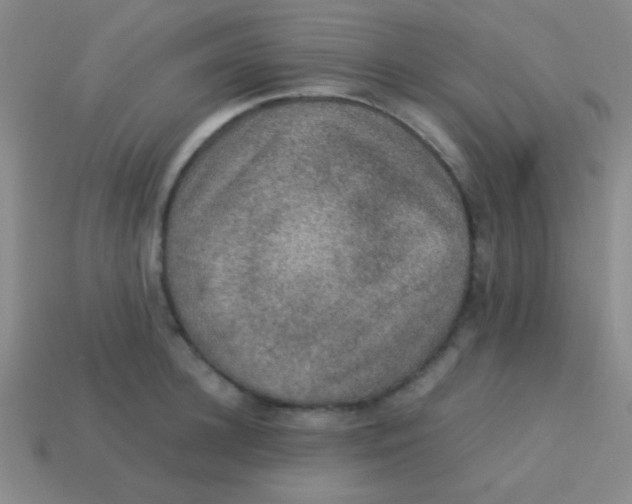 X0000113600948200910161902