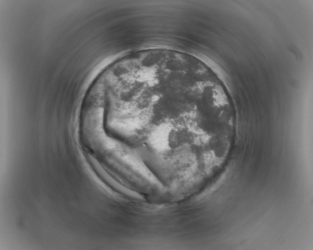 X0000113600949200910161902