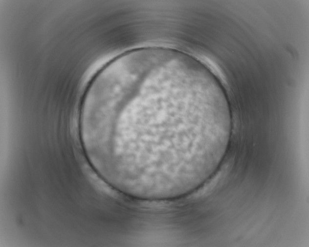 X0000113600952200910161902