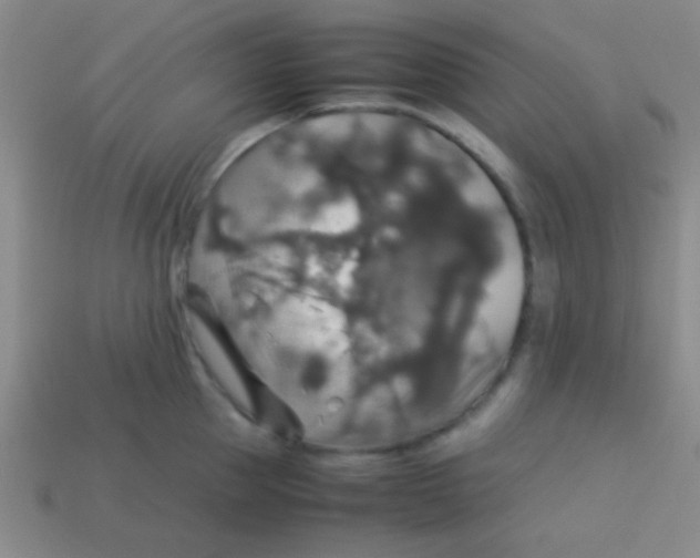 X0000113600953200910161902