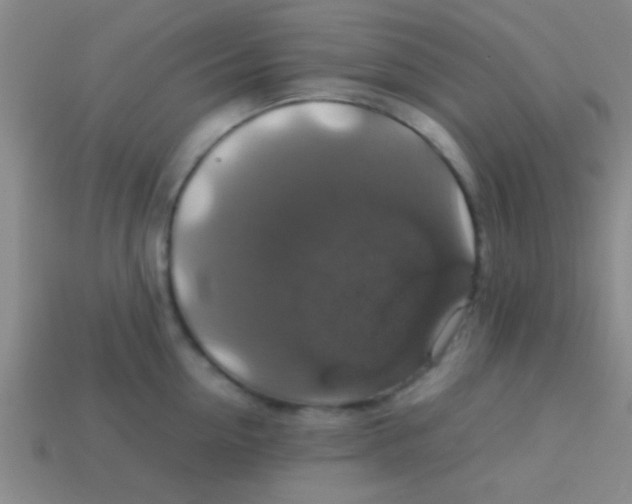 X0000113600954200910161902