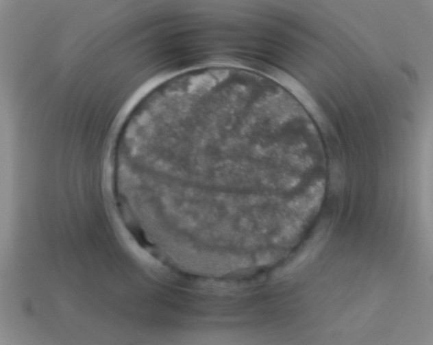 X0000113600955200910161902