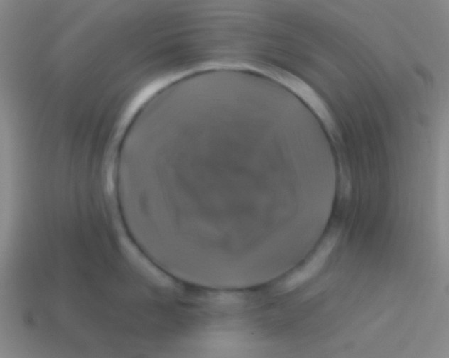 X0000113600958200910161902