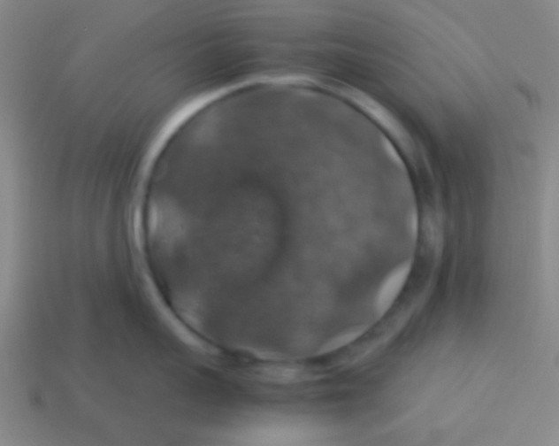 X0000113600959200910161902