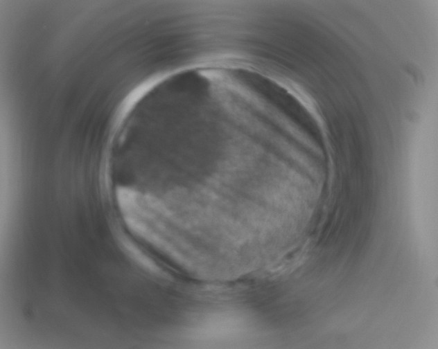 X0000113600960200910161902