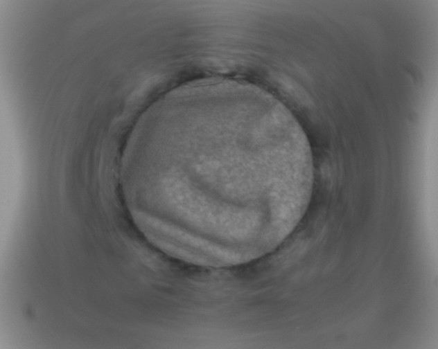 X0000113600961200910161901