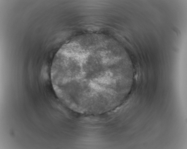 X0000113600962200910161901