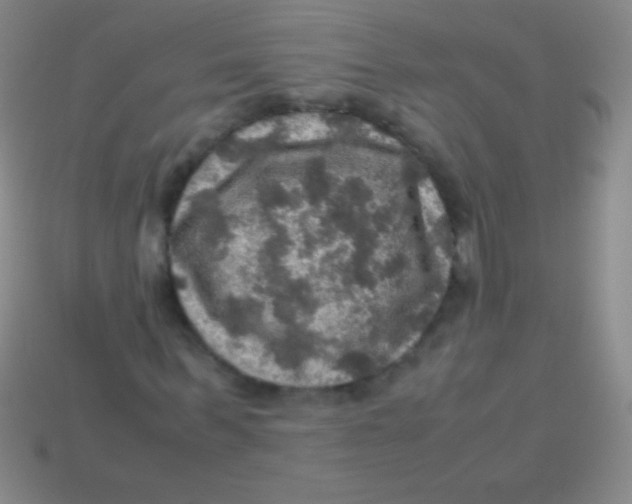 X0000113600963200910161901