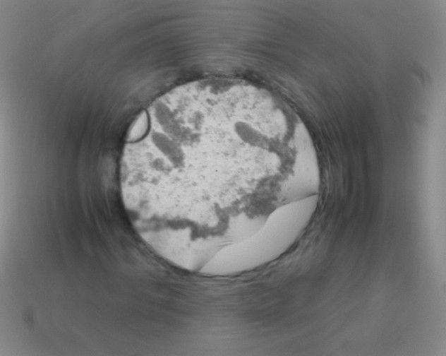 X0000113600964200910161901