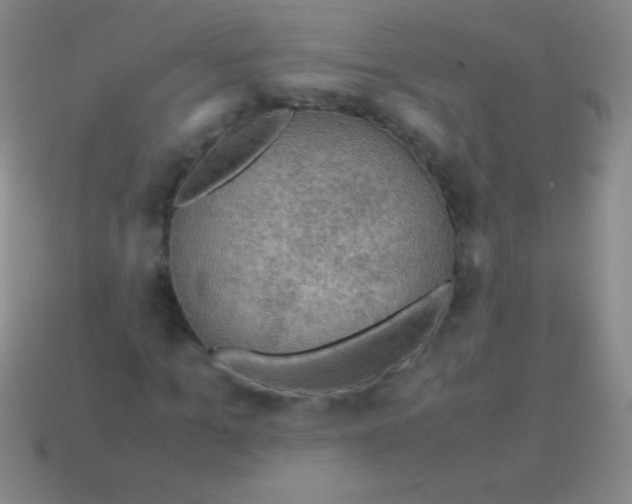 X0000113600965200910161901