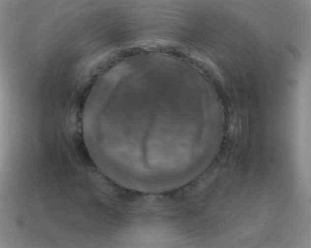 X0000113600966200910161901