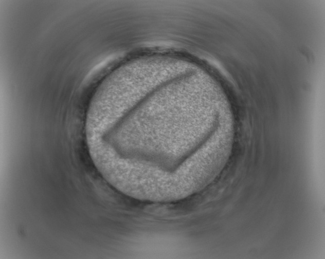 X0000113600967200910161901