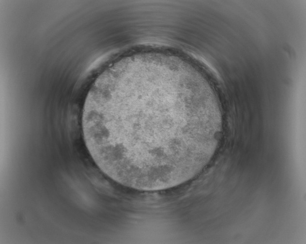 X0000113600968200910161901