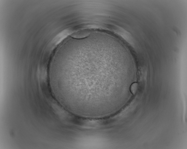 X0000113600969200910161901