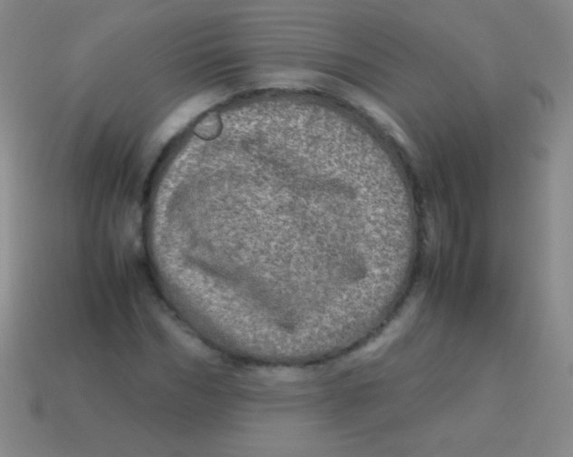 X0000113600970200910161901