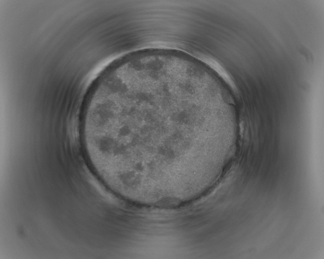 X0000113600972200910161901