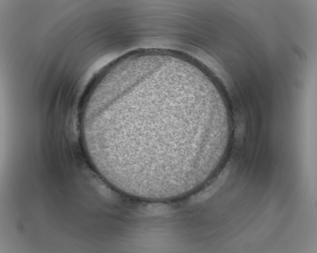 X0000113600974200910161901