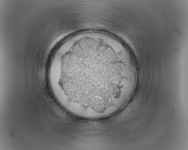 X0000113600975200910161901