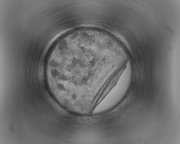 X0000113600976200910161901