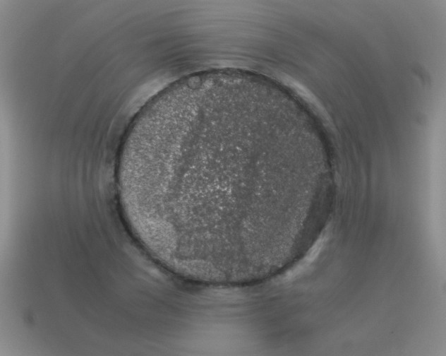 X0000113600977200910161901