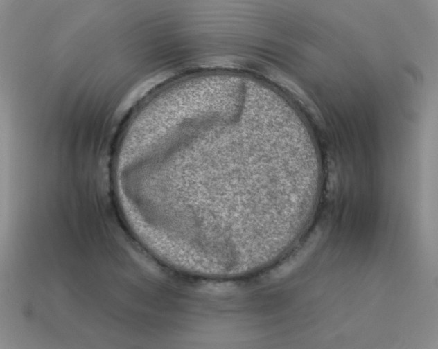 X0000113600978200910161901