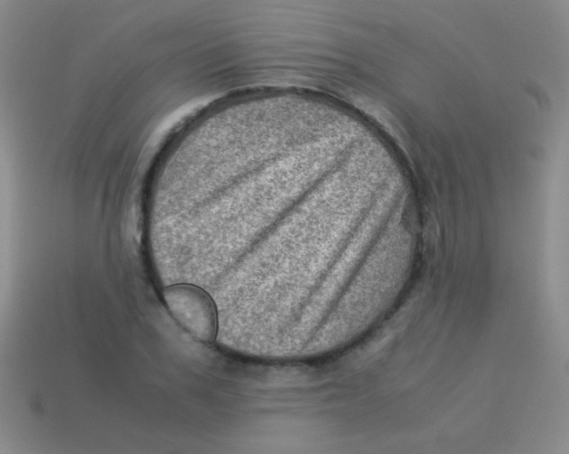 X0000113600979200910161901