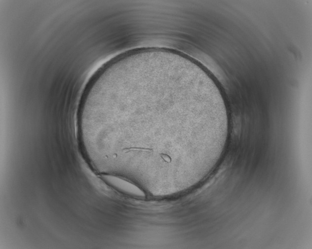 X0000113600980200910161901