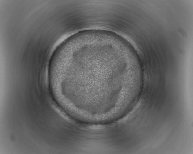 X0000113600982200910161901