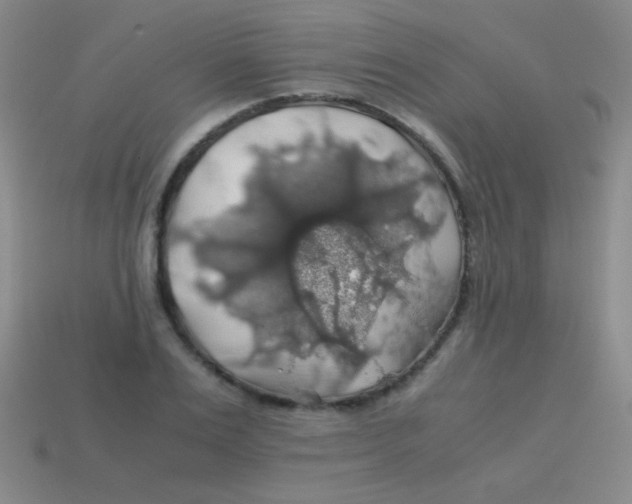 X0000113600983200910161901