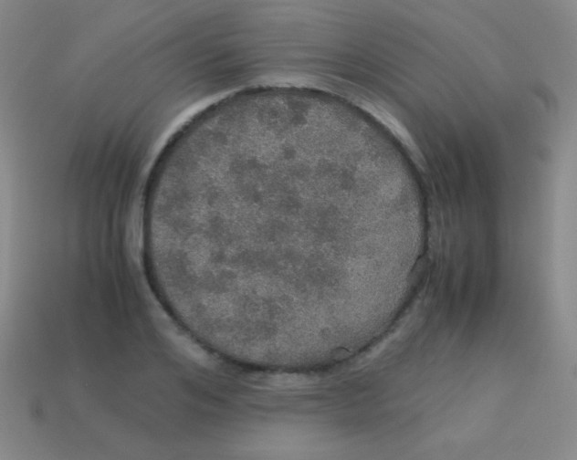 X0000113600984200910161901