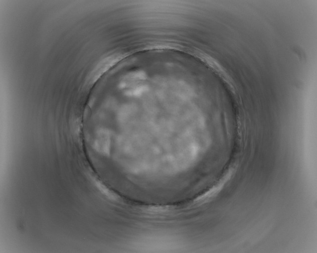 X0000113600985200910161901