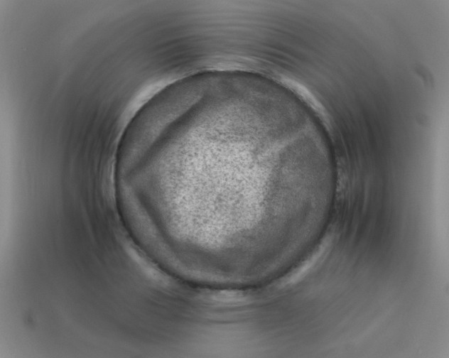 X0000113600986200910161901