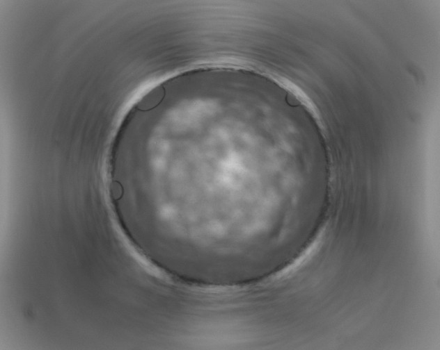 X0000113600989200910161901