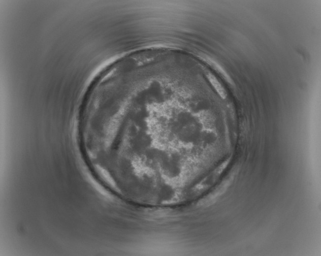 X0000113600991200910161901