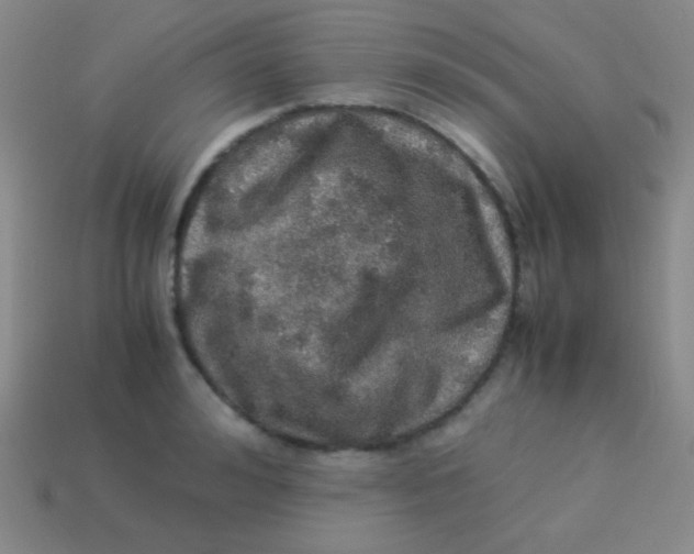 X0000113600992200910161901