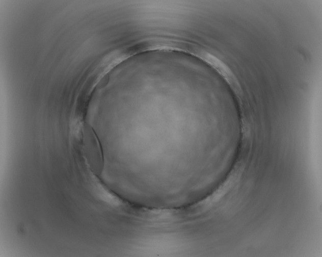 X0000113600993200910161901