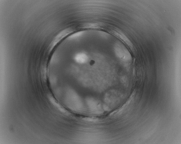 X0000113600994200910161901