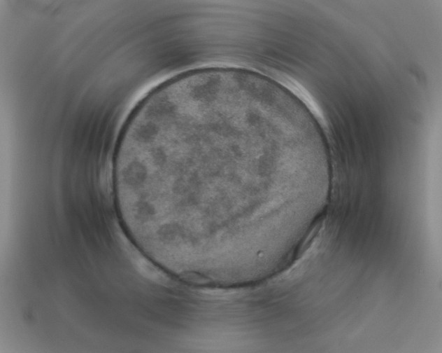 X0000113600996200910161901