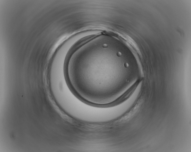 X0000113600997200910161901