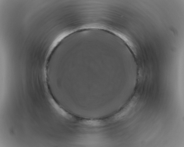 X0000113600998200910161901